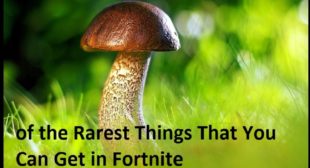 Secret Golden Mushroom Is One of the Rarest Things That You Can Get in Fortnite
