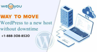 Way to move WordPress to new host without downtime | Wewpyou