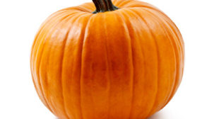 Purchase Winter and Summer Squash from Professional Squash Suppliers