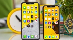 Apple Retina Display Differences in iPhone 11, Pro & Max