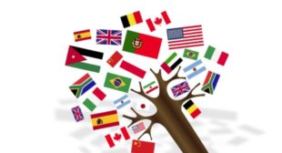 Proficient Translation Services