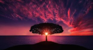 Good Night Image for Whatsapp – Best Image Website Good Night Image for Whatsapp – Best Image Website