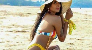 Have A Romantic Dinner With Cute Babes, Hire Gals From Delhi Escorts Service