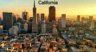 Best SEO Company in California Best SEO Company in California