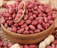 Choose online best quality Redskin Peanuts