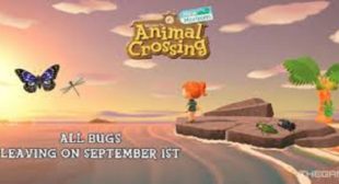 Animal Crossing: New Horizons – All the New Bugs in September Month