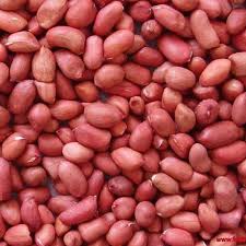 Buy redskin peanuts online at affordable rates Buy redskin peanuts online at affordable rates