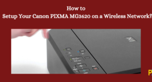 Setup Canon PIXMA MG3620 on a Wireless Network Setup Canon PIXMA MG3620 on a Wireless Network