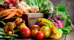 Purchase Premium & Organic Fruits and Vegetables from Professional Supplier Purchase Premium & Organic Fruits and Vegetables from Professional Supplier