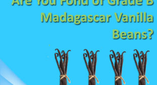 Varieties of Vanilla beans at wholesale prices from online store Varieties of Vanilla beans at wholesale prices from online store