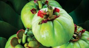 Get Fat Free Body With Garcinia Cambogia