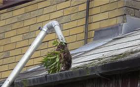 Keep your Buildings Safe by Hiring Gutters Cleaning Services in London