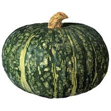 Choose online Squash distributors in Mexico city