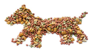 Buy Best Dry Dog Food Online in UK