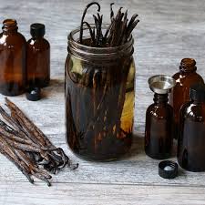 High quality Vanilla beans for extract recipe