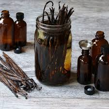 High quality Vanilla beans for extract recipe High quality Vanilla beans for extract recipe