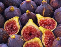 Place order online fig distributors at wholesale prices Place order online fig distributors at wholesale prices