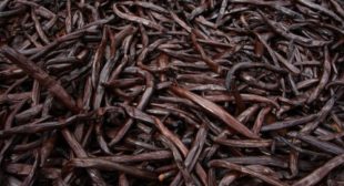 Madagascar Vanilla Beans: Suitable for Preparing Both Savory and Sweet Dishes