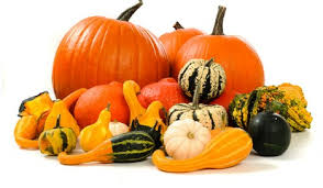 Easily order online Squash distributors at affordable rates