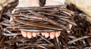 Choose online varieties of Tahitian Vanilla beans