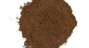 Organic Vanilla bean powder sell online