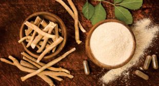 Make Your Immunity Strong With Ashwagandha Capsules Make Your Immunity Strong With Ashwagandha Capsules