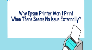 Why Epson Printer Won’t Print Black Color? Why Epson Printer Won’t Print Black Color?
