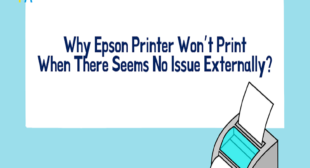 Why Epson Printer Won’t Print Black Color?