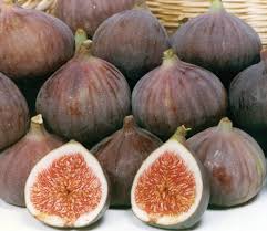 Purchase Fresh Figs from Supplier & Try Savory and Sweet Dishes at Home Purchase Fresh Figs from Supplier & Try Savory and Sweet Dishes at Home