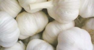 Factors Contributing to Rise in Prices of Garlic amidst Covid-19 Pandemic