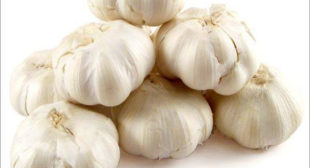 Purchase Organic Garlic from Suppliers to Prepare Garlic Powder & Pickles Purchase Organic Garlic from Suppliers to Prepare Garlic Powder & Pickles
