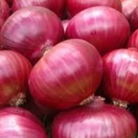 Purchase Onions from Distributors & Try Different Dishes in Different Meals