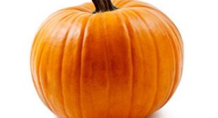 Buy Butternut Squash from Distributors & Prepare Sweet Dishes