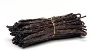 Everything about the Most Loved Flavor- Vanilla Beans Everything about the Most Loved Flavor- Vanilla Beans