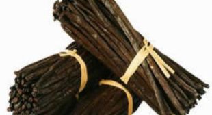 Buy Vanilla Beans Online at Wholesale Rates to Get Myriad Health Benefits Buy Vanilla Beans Online at Wholesale Rates to Get Myriad Health Benefits