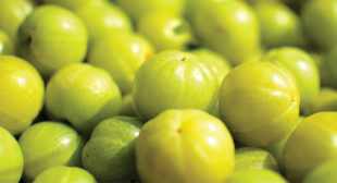 Get Amazing Benefits Of Amla Capsules For Better Health