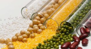 Choose Plant Protein Powder For Muscular Strength