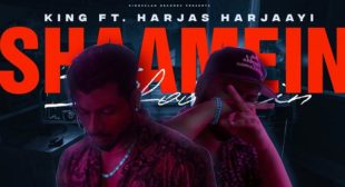 Shaamein Lyrics – King