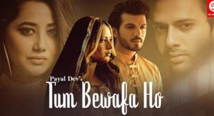 Tum Bewafa Ho – Payal Dev