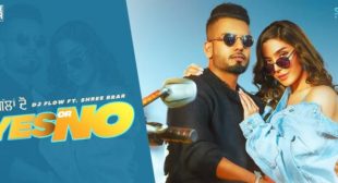 Yes Or No Lyrics – Dj Flow Yes Or No Lyrics – Dj Flow