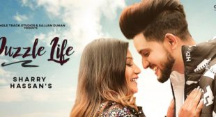 Puzzle Life Lyrics – Sharry Hassan