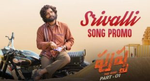 Srivalli Pushpa Lyrics