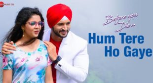 Hum Tere Ho Gaye – Jubin Nautiyal