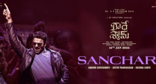 Sanchari Radhe Shyam Lyrics