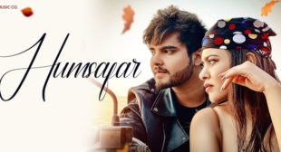 Humsafar Lyrics