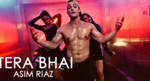 Tera Bhai Lyrics