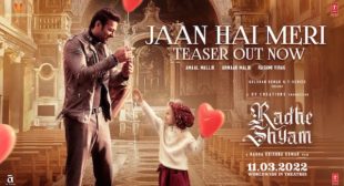 JAAN HAI MERI LYRICS