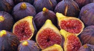 Buy Fresh Figs from Distributors to Prepare Healthy & Sweet Snacks