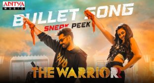 The Warrior Song Bullet