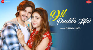 Dil Puchta Hai Lyrics by Palak Muchhal